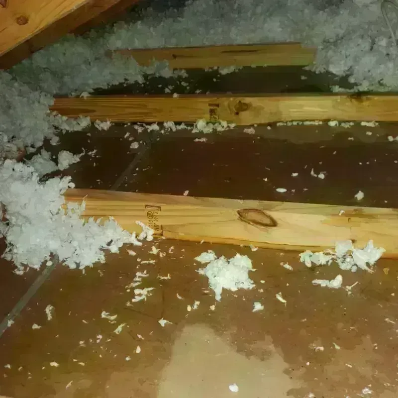 Attic Water Damage in Big River, CA